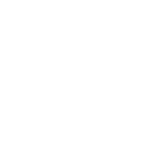 Zini Adili